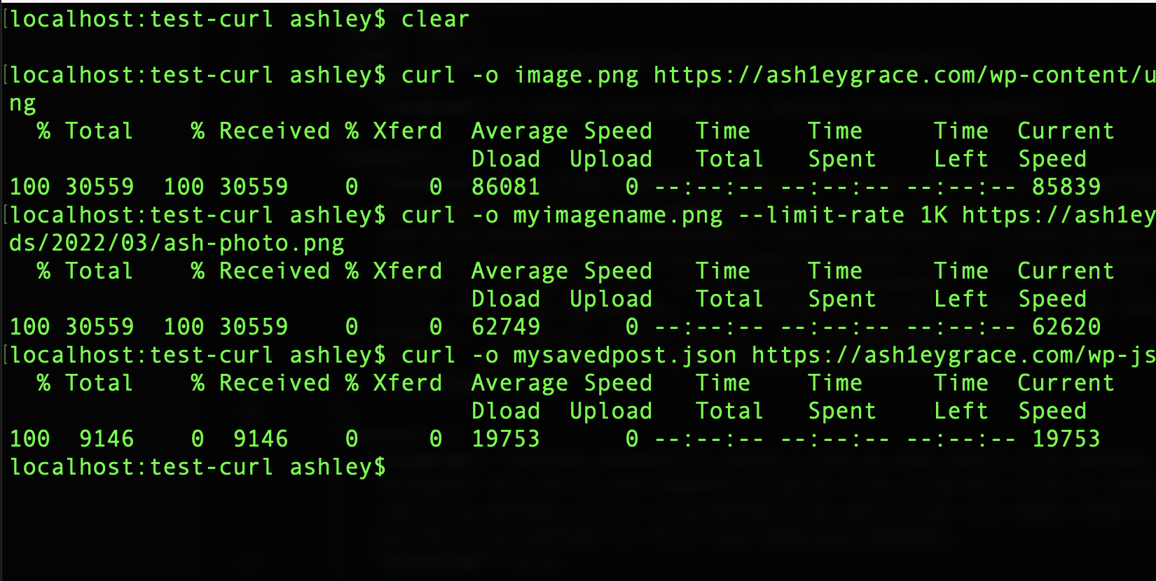 How to Download WordPress Content with cURL